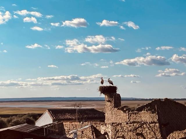 Casa Rural La Cruz El Gordo Exteriér fotografie